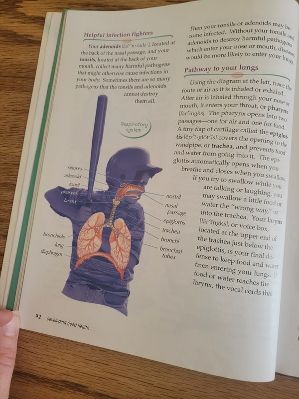 Abeka Developing Good Health Grade 4 Textbook Second Edition Printed 2007 gallery