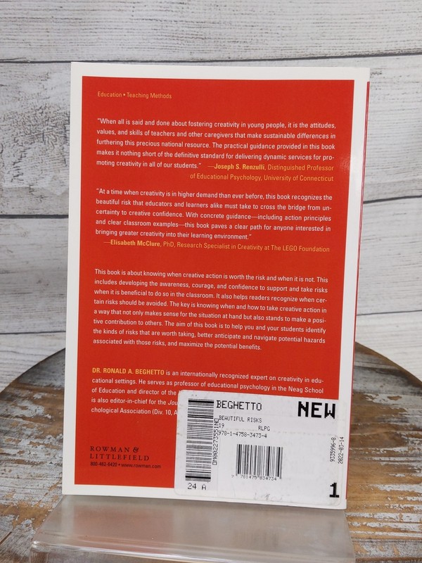 Beautiful Risks The Courage to Teach by Ronald Beghetto 2019 Paperback Book gallery