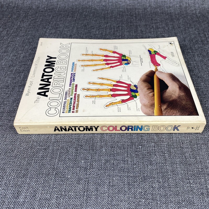 The Anatomy : Coloring Book by Lawrence M. Elson and Wynn Kapit 1997 gallery