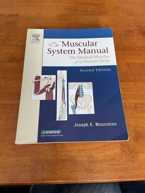 The Muscular System Manual : The Skeletal Muscles of the Human Body by Joseph E.