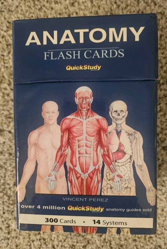 Anatomy Flash Cards (300 Cards, 14 Systems) Quick Study Box Set Color-Coded EUC