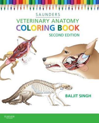 Veterinary Anatomy Flash Cards, Paperback by Saunders (COR), Brand New, Free …
