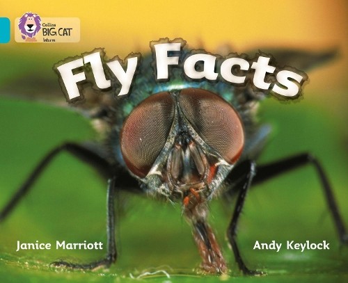 Janice Marriott Fly Facts (Paperback) Collins Big Cat