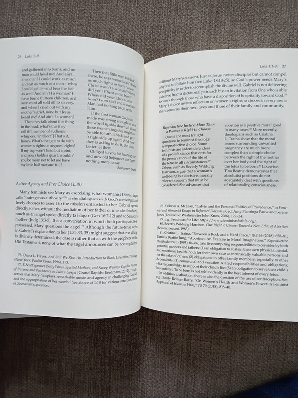 Luke 1–9 (Volume 43A) Wisdom Commentary Series Barbara Reid Shelly Matthews 2021 gallery
