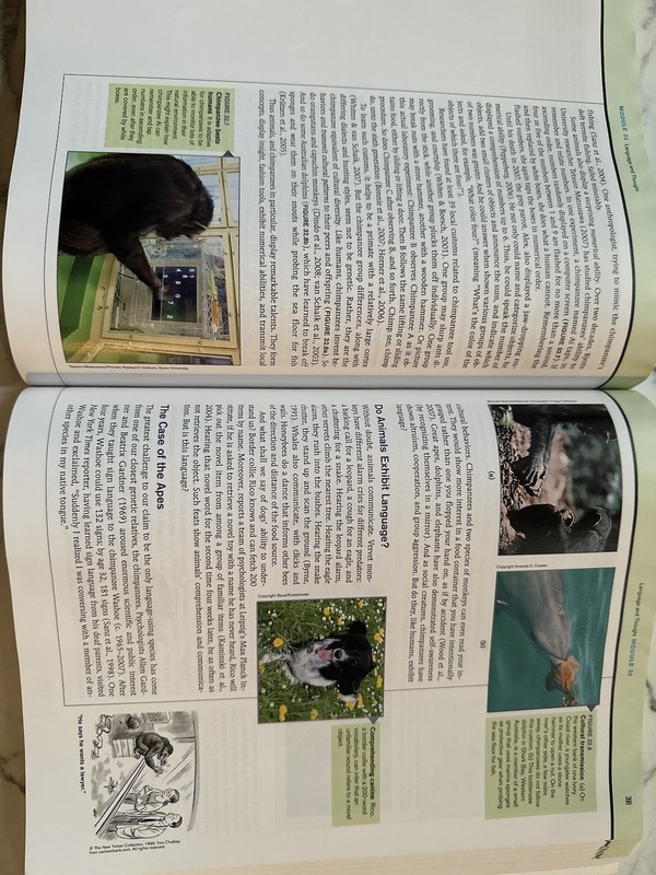 Psychology Textbook gallery
