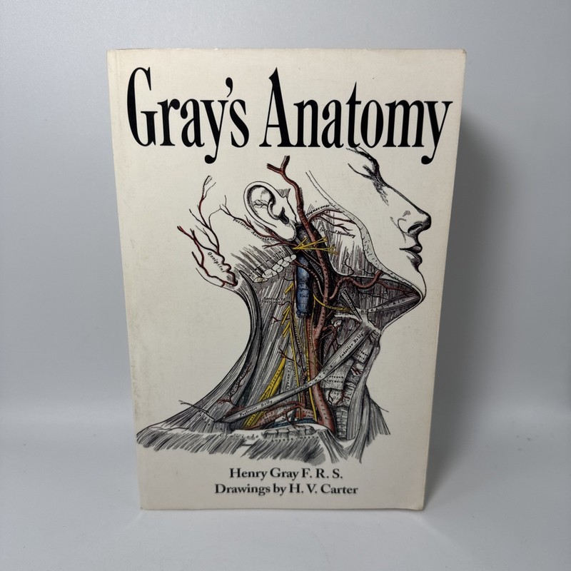 Gray’s Anatomy 1995 Paperback 15th Edition Henry Gray Barnes Noble