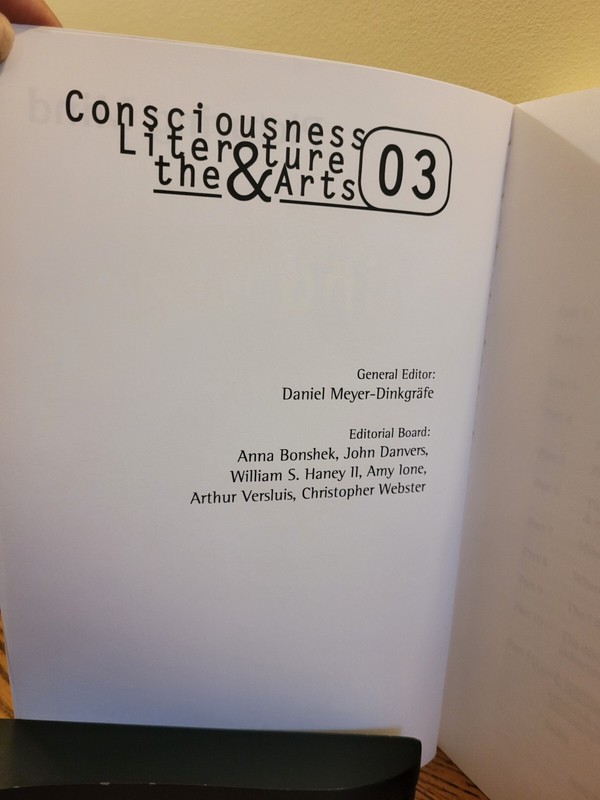 Picturing Mind : Paradox & Consciousness In Art & Poetry by John Danvers gallery