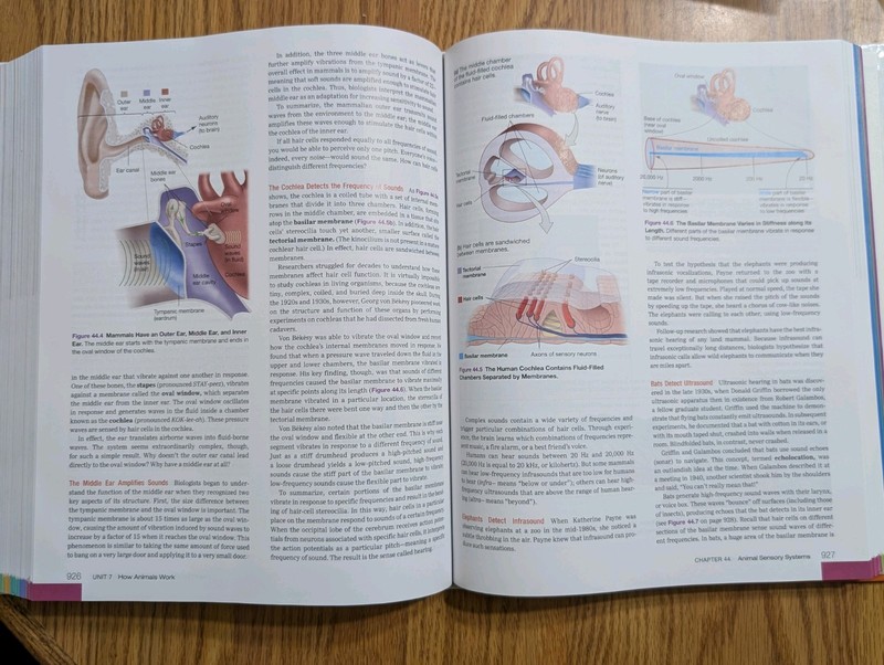 Biological Science 6th Edition Freeman Quillin Allison Pearson Hardcover 2016 gallery