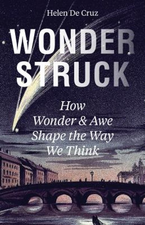 Wonderstruck : How Wonder and Awe Shape the Way We Think Helen De
