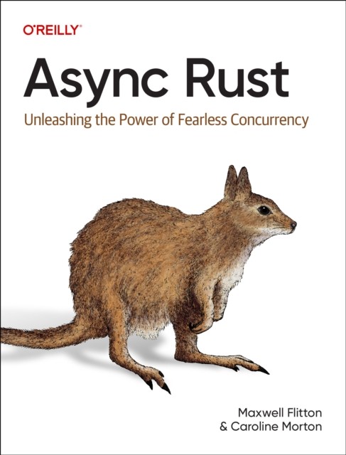 ASYNC RUST by FLITTON, MAXWELL Paperback Self Help Business