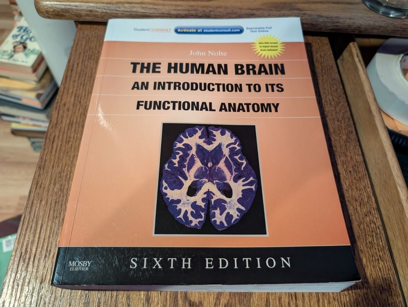 The Human Brain: An Introduction to Its Functional Anatomy