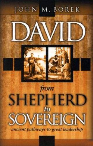 David: From Shepherd to Sovereign – Paperback By Jr., John M. Borek – GOOD