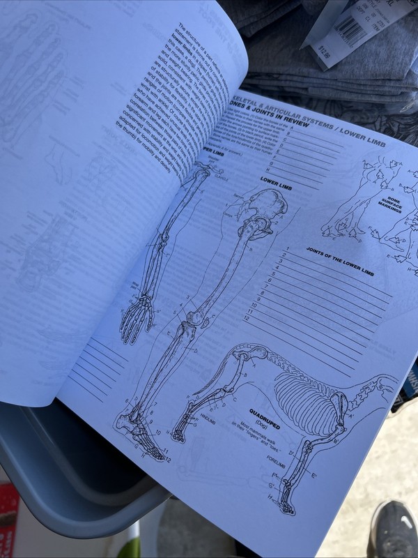 Anatomy Coloring Book by Wynn Kapit and Lawrence Elson (2013, Trade Paperback) gallery