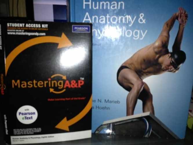 Human Anatomy & Physiology – Hardcover, by Elaine N. Marieb; Katja – Very Good j