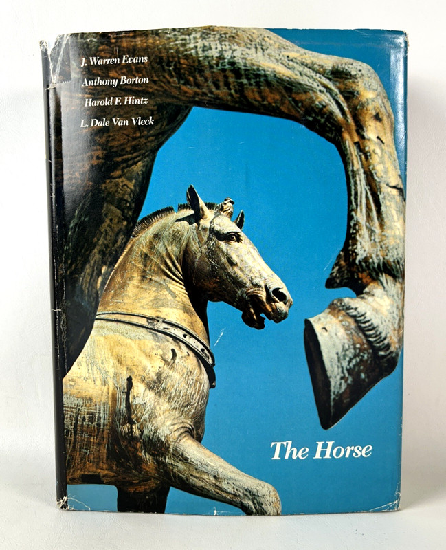 The Horse First Edition 1977 – Hardcover by J Warren Evans