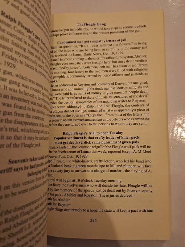 The Fleagle Gang - Paperback NEW N. T. Betz March 2005 gallery