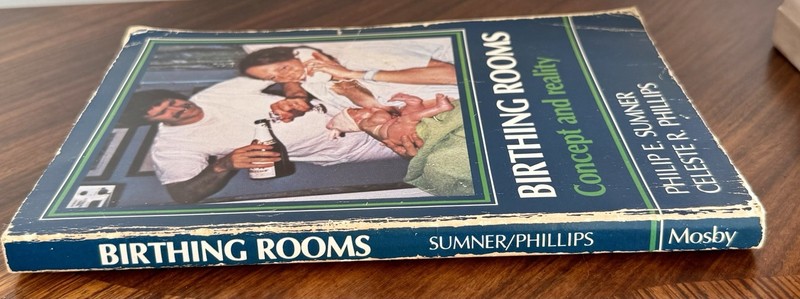 Birthing Rooms - Concept & Reality Philip Sumner Celeste Phillips - Inscribed gallery