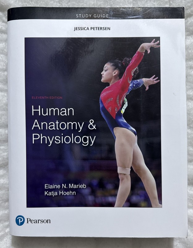 Human Anatomy & Physiology Study Guide Elaine Marieb Katja Hoehn Pearson FreeSH