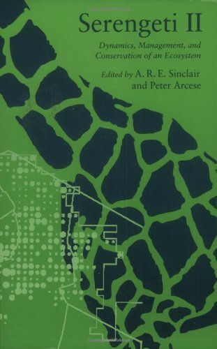 Serengeti II: Dynamics, Management, and Conservation of an Ecosystem (Paperback)