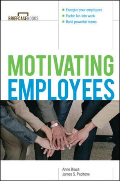 Motivating Employees Paperback James S., Bruce, Anne Pepitone