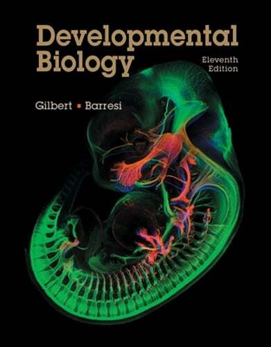 Developmental Biology by Scott F. Gilbert: Used