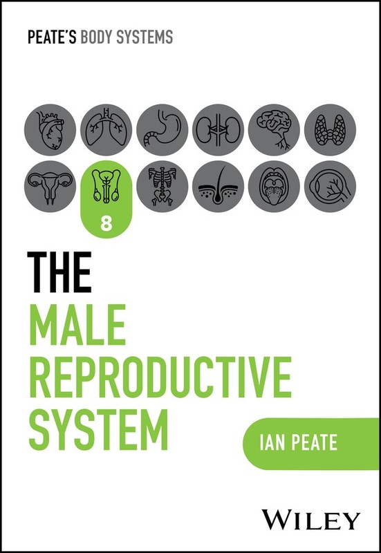 Ian Peate The Male Reproductive System (Paperback) Peate’s Body Systems