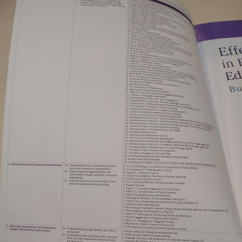 Effective Practices in Early Childhood Education : Building a Foundation gallery