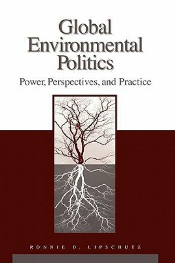 Global Environmental Politics: Power, Perspectives, And Practice