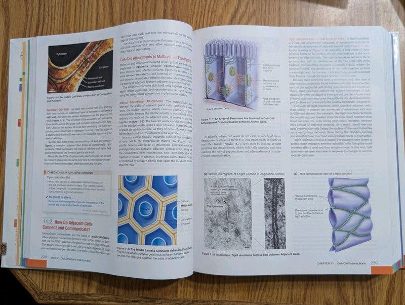Biological Science 6th Edition Freeman Quillin Allison Pearson Hardcover 2016 gallery