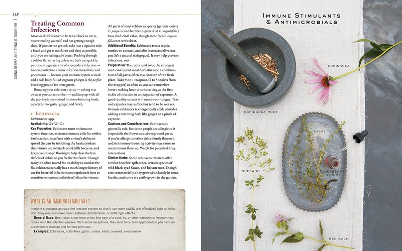 Body into Balance: An Herbal Guide to Holistic Self-Care gallery