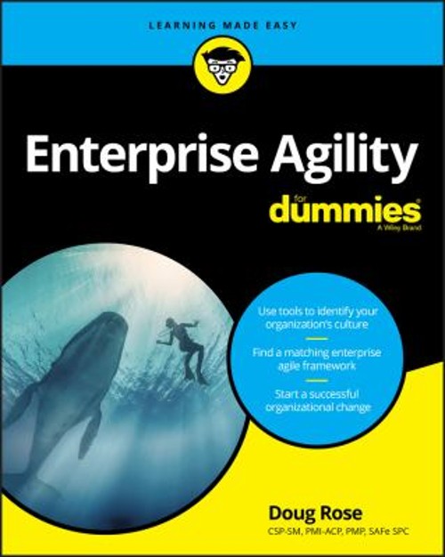 Enterprise Agility for Dummies Paperback Doug Rose