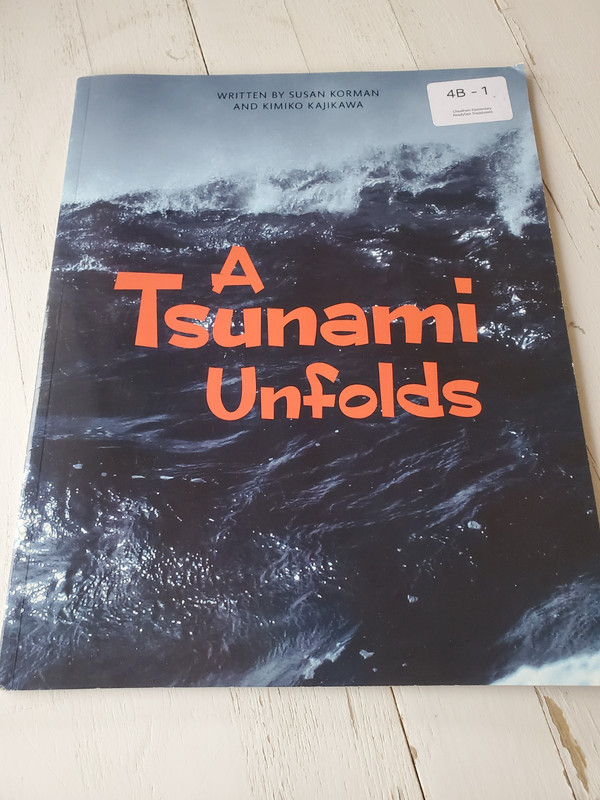 Tsunami Unfolds (Paperback) Copyright 2016 by Kimiko Kajikawa (2015, Trade…