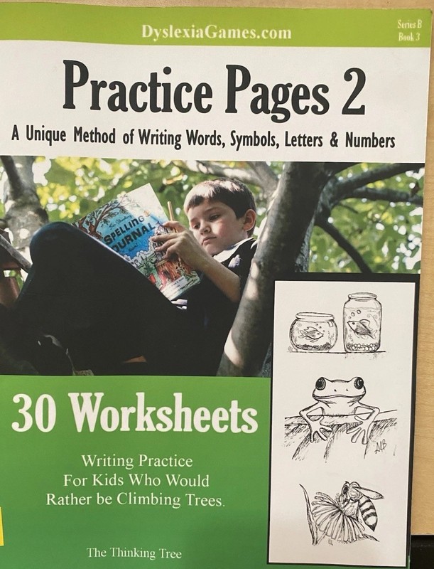 Dyslexia Games – Practice Pages 2 – Series B Book 3