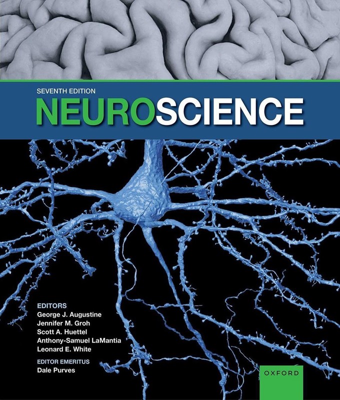 Neuroscience 7th Edition by George J. Augustine (English) Hardcover Book
