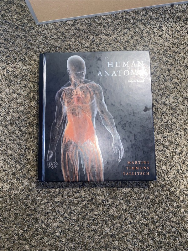 Human Anatomy (7th Edition) – Hardcover By Martini, Frederic H. – GOOD