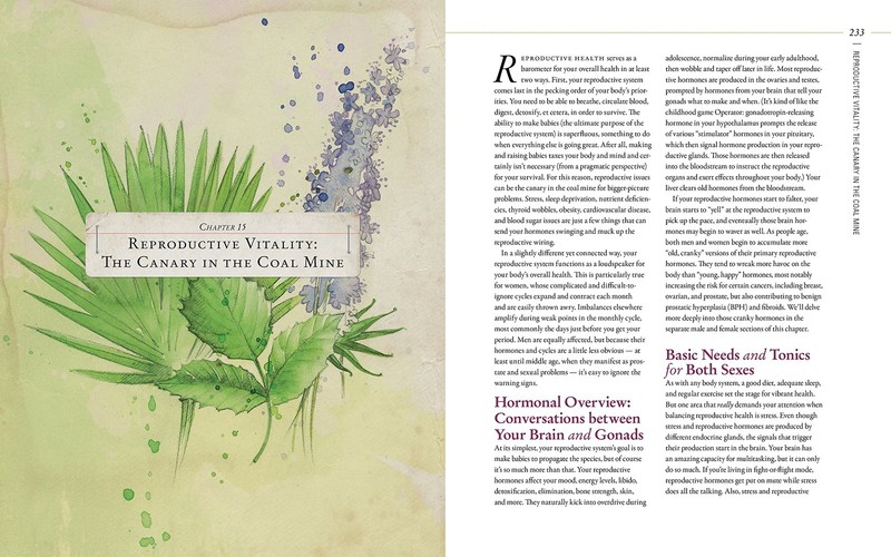 Body into Balance: An Herbal Guide to Holistic Self-Care gallery