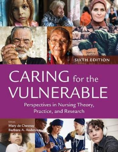 Mary de Chesnay Caring for the Vulnerable: Perspectives (Paperback) (UK IMPORT)