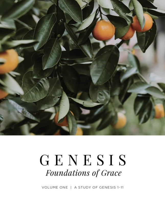 Genesis Vol. 1: Foundations of Grace – paperback The Daily Grace Co.