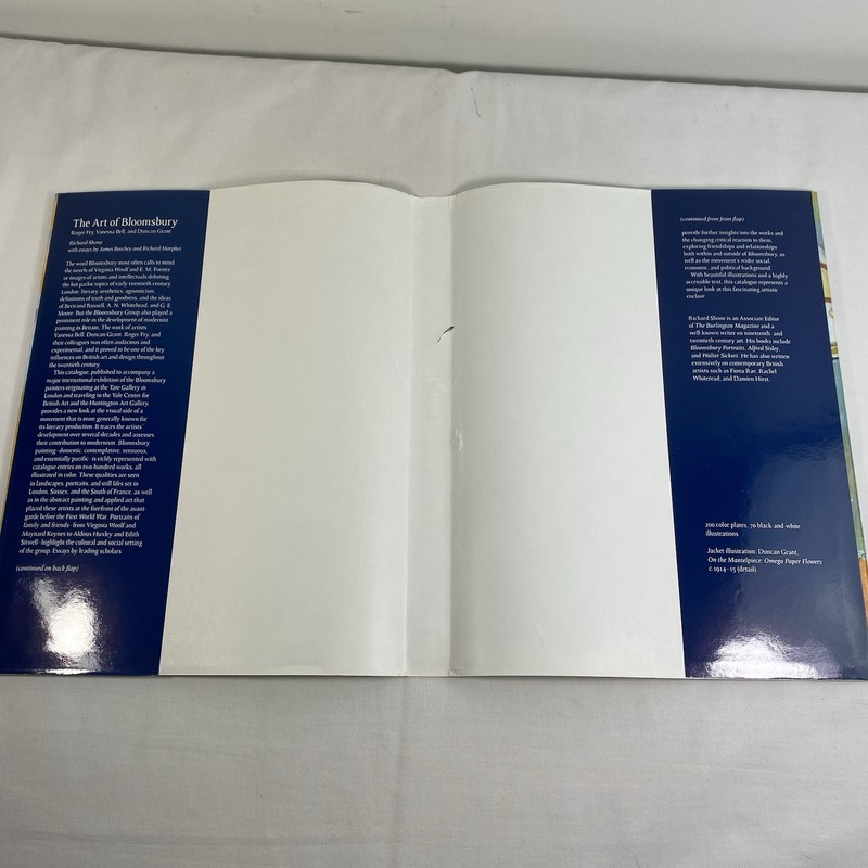 The Art of Bloomsbury: Roger Fry, Vanessa Bell, and Duncan Grant Hardcover 2000 gallery