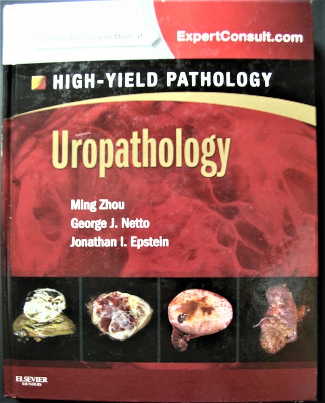 Uropathology : A Volume in the High Yield Pathology Series (Expert Consult -…