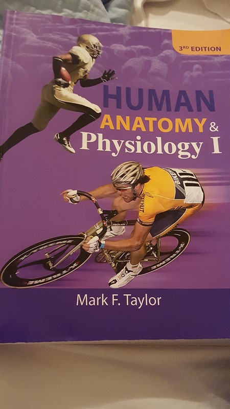 Anatomy & Physiology I