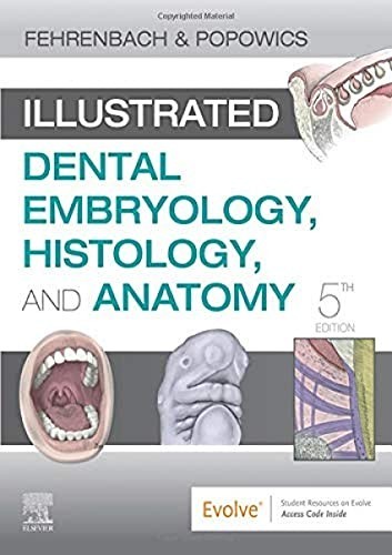 Illustrated Dental Embryology, Hist…, Margaret J Fehr