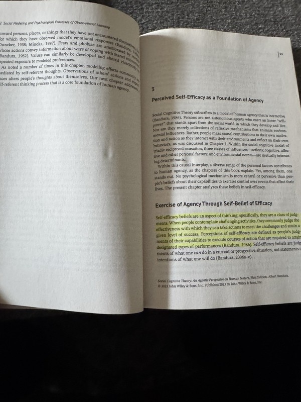 Social Cognitive Theory : An Agentic Perspective by Albert Bandura (2023) gallery