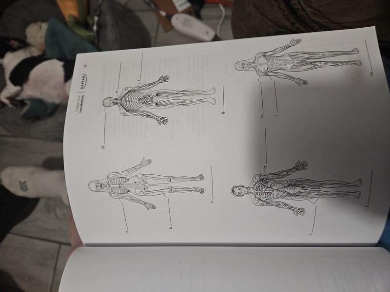 Anatomy Coloring Book with - Paperback, by McCann Stephanie; Wise - Very Good h gallery