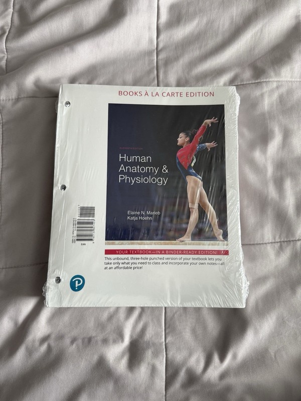 Human Anatomy and Physiology 11th Edition by Elaine N. Marieb and Katja Hoehn