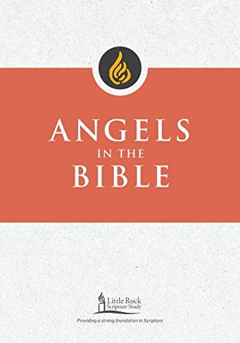 ANGELS IN THE BIBLE (LITTLE ROCK SCRIPTURE STUDY) By Smiga George M. Std *Mint*