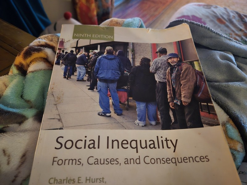 Social Inequality: Forms Causes and Consequences Ninth Ed. Paperback Book