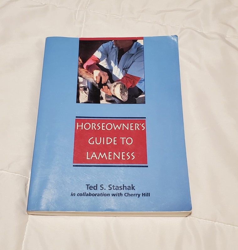 Practical Guide to Lameness in Horses