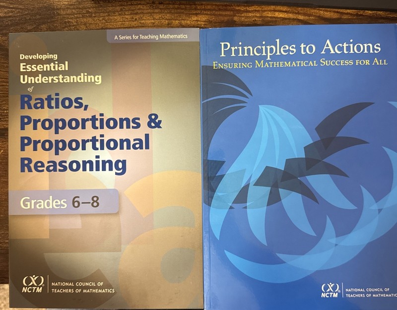 Ensuring Mathematical Success; Ratios, Proportions & Reas NCTM 2 math book lot