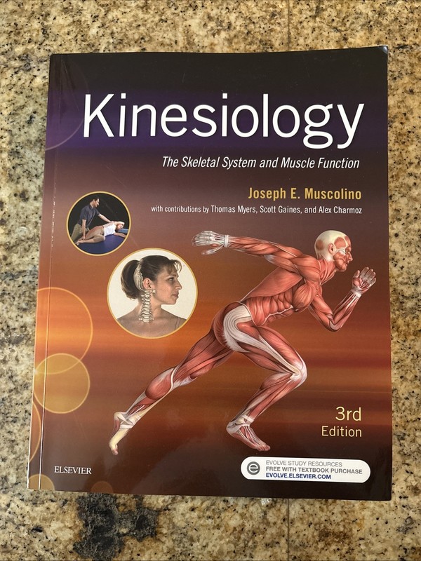 Kinesiology : The Skeletal System and Muscle Function by Joseph E. Muscolino...